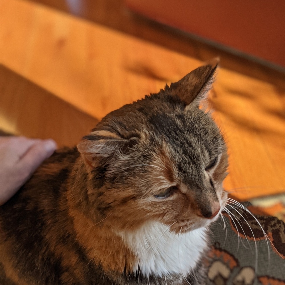 Meet your Posher, Sarah